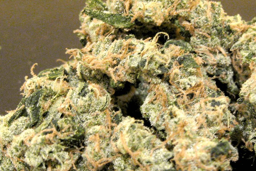 Buy Marijuana Online Europe – Premium THC Oils, Edibles & Vape Cartridges